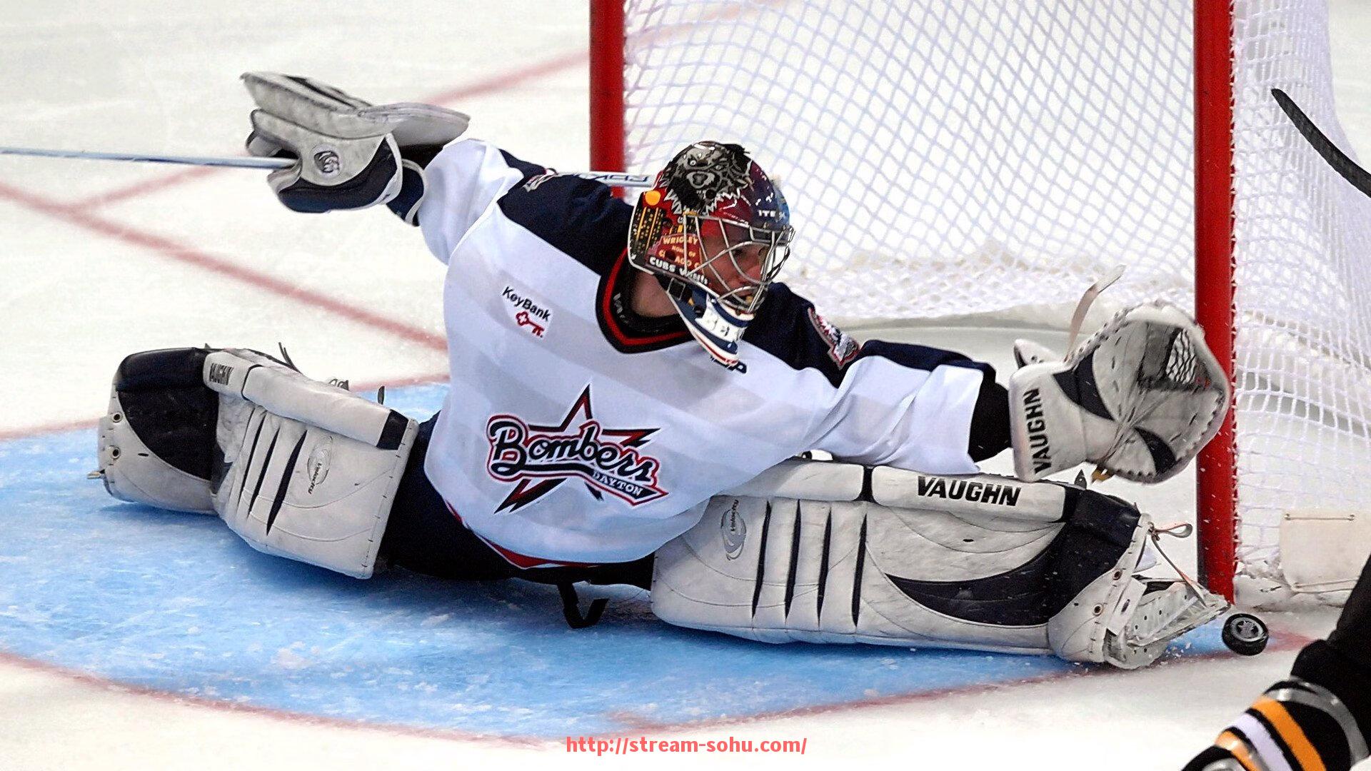 搜狐体育直播-法甲球员转会动态及市场价值变化详解